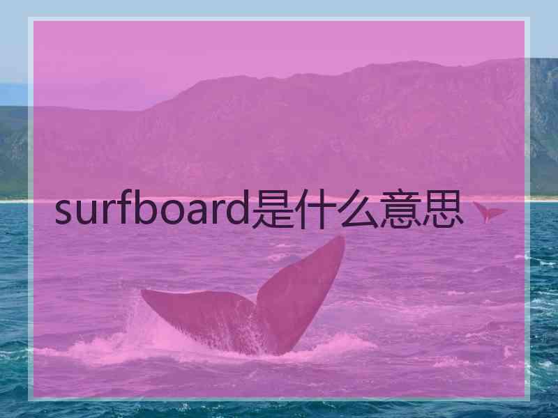 surfboard是什么意思