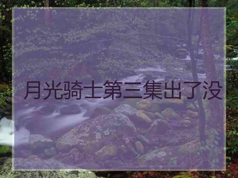 月光骑士第三集出了没