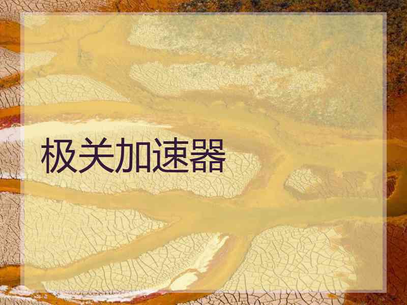 极关加速器