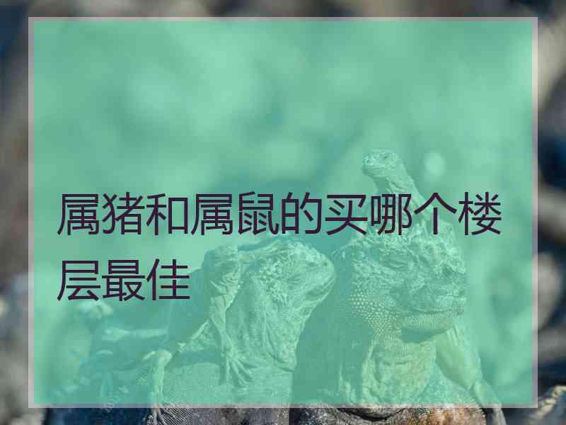 属猪和属鼠的买哪个楼层最佳