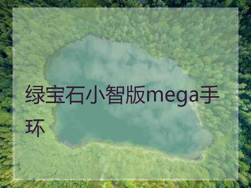 绿宝石小智版mega手环