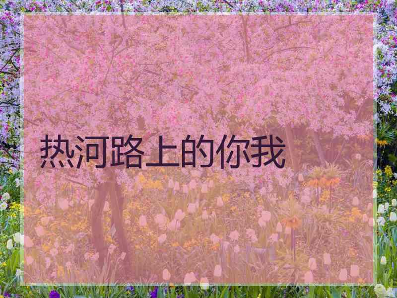 热河路上的你我