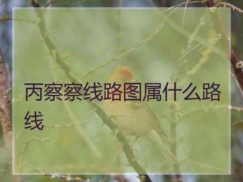 丙察察线路图属什么路线