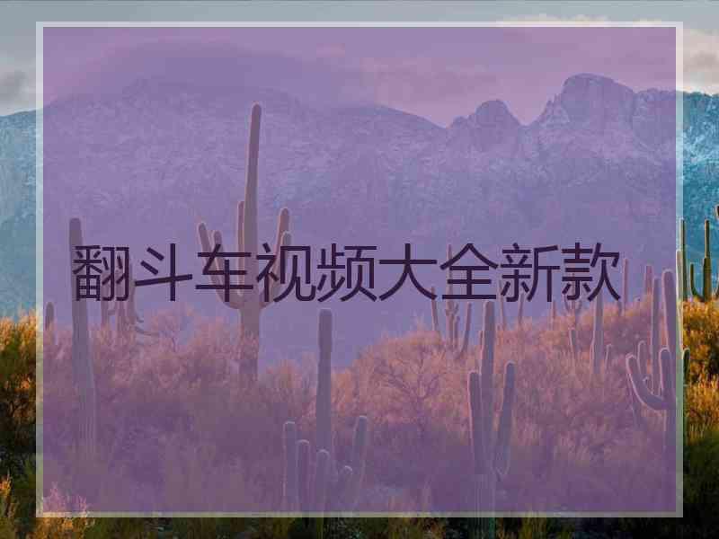 翻斗车视频大全新款