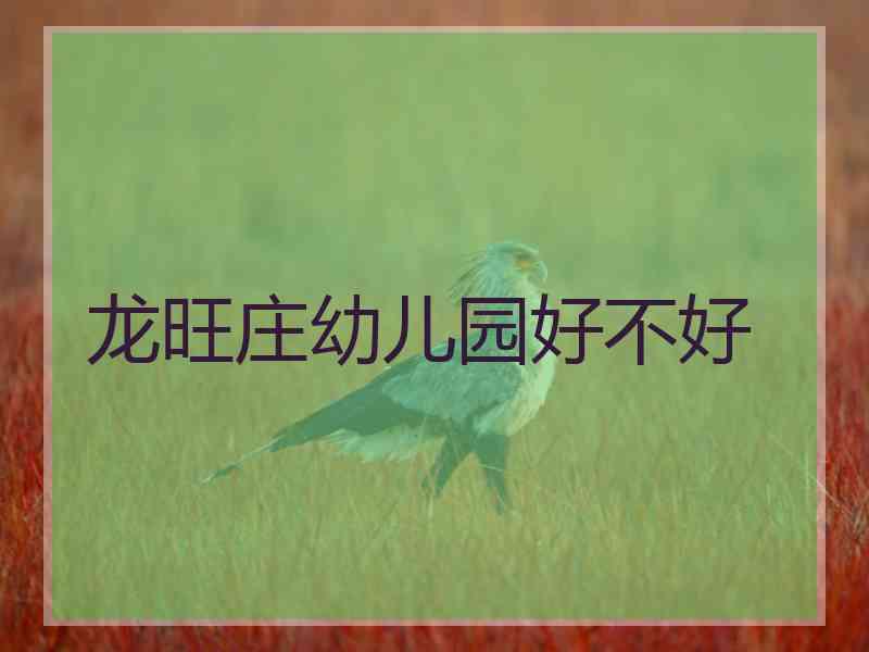 龙旺庄幼儿园好不好