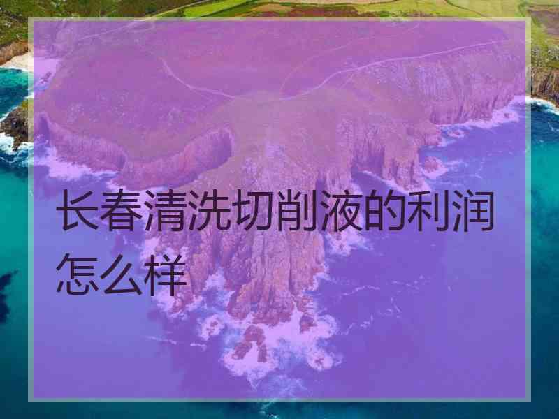 长春清洗切削液的利润怎么样