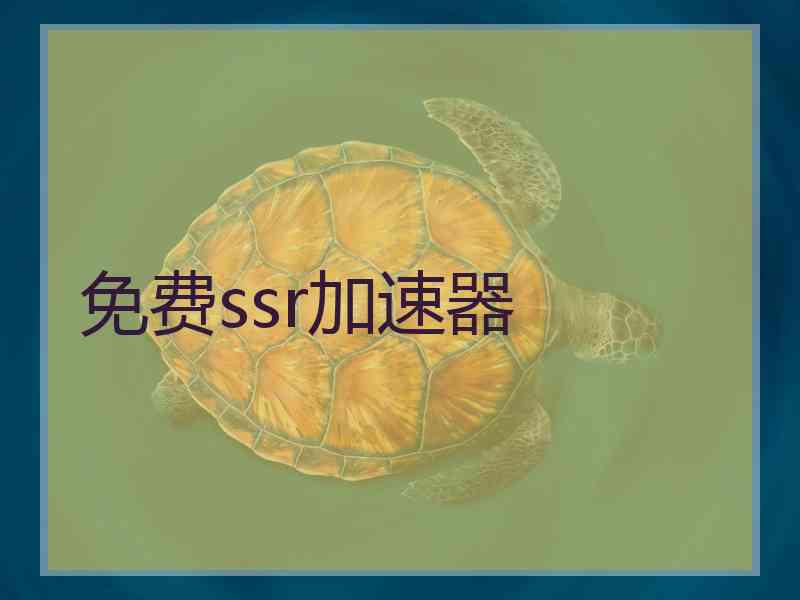 免费ssr加速器