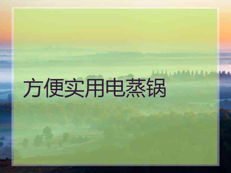 方便实用电蒸锅