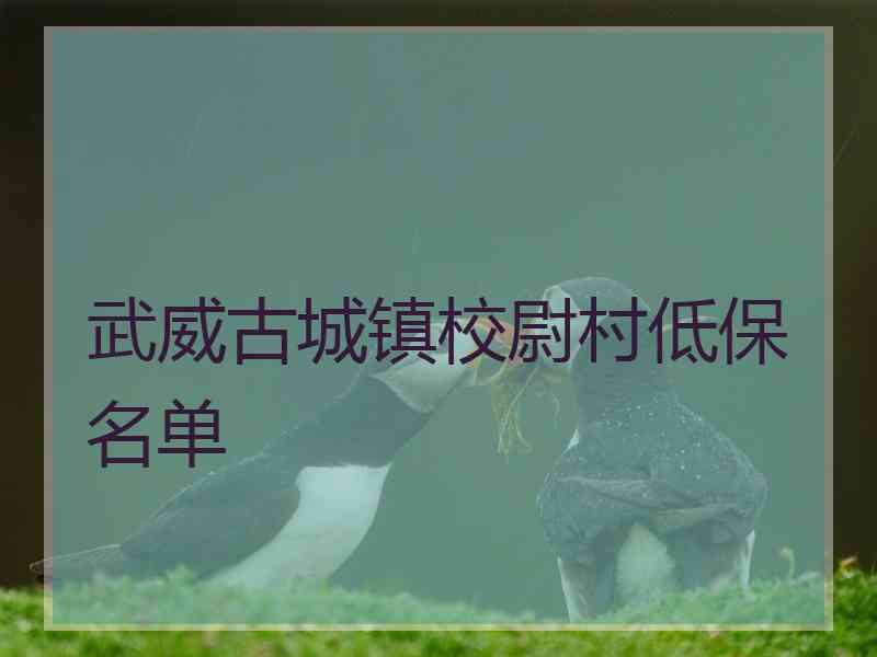 武威古城镇校尉村低保名单