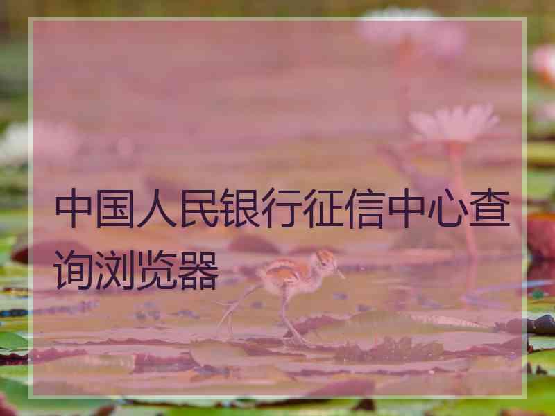 中国人民银行征信中心查询浏览器