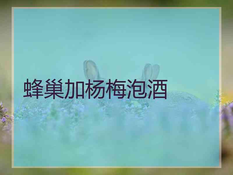 蜂巢加杨梅泡酒