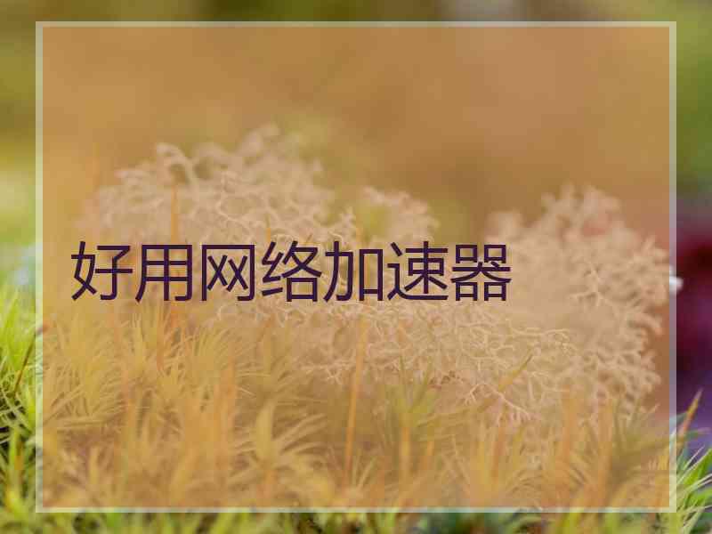 好用网络加速器