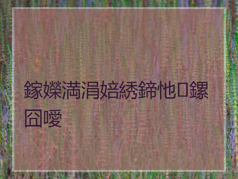 鎵嬫満涓婄綉鍗忚鏍囧噯