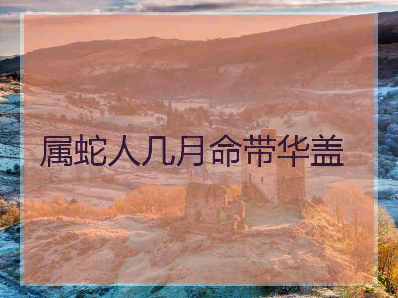 属蛇人几月命带华盖