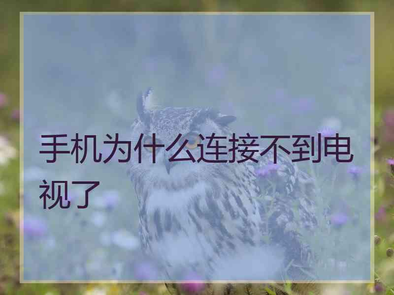 手机为什么连接不到电视了