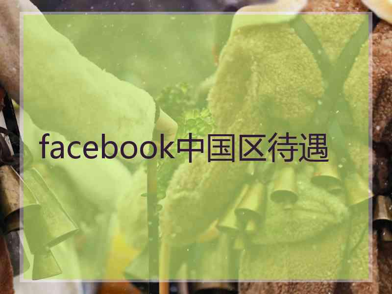 facebook中国区待遇