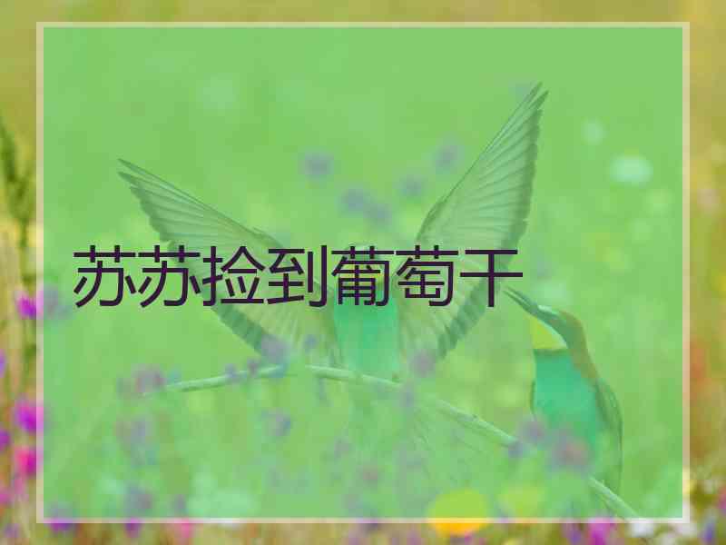 苏苏捡到葡萄干