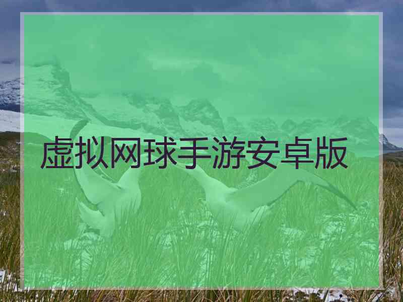 虚拟网球手游安卓版