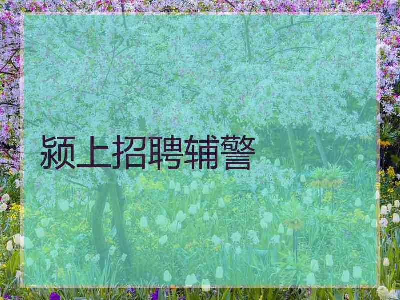 颍上招聘辅警