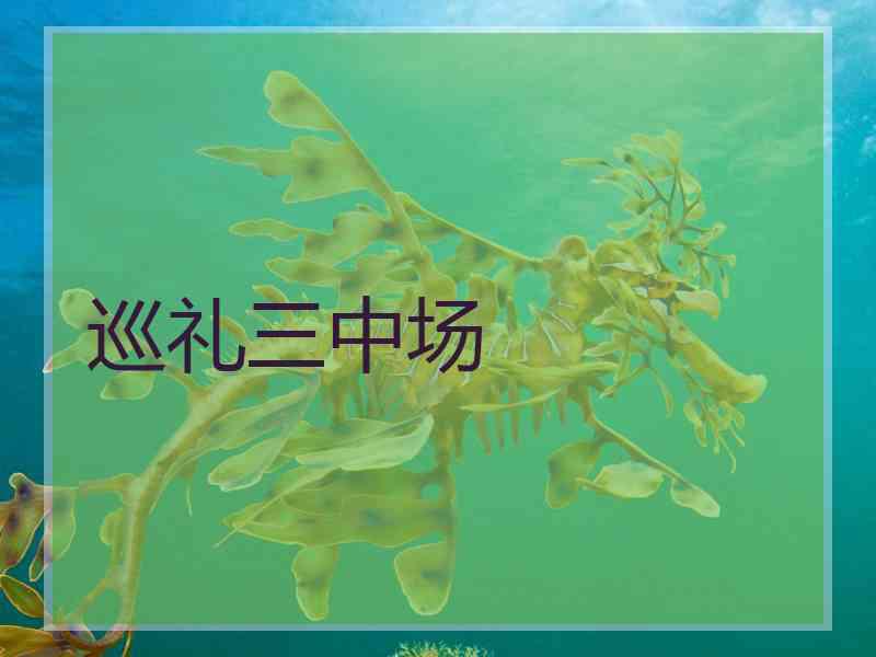 巡礼三中场