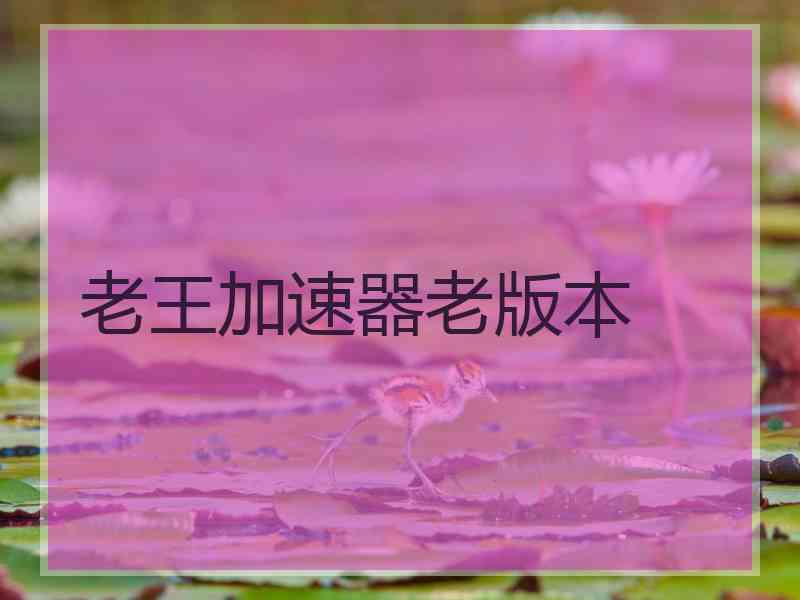 老王加速器老版本