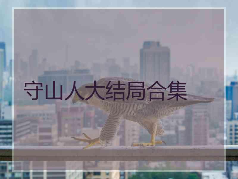 守山人大结局合集