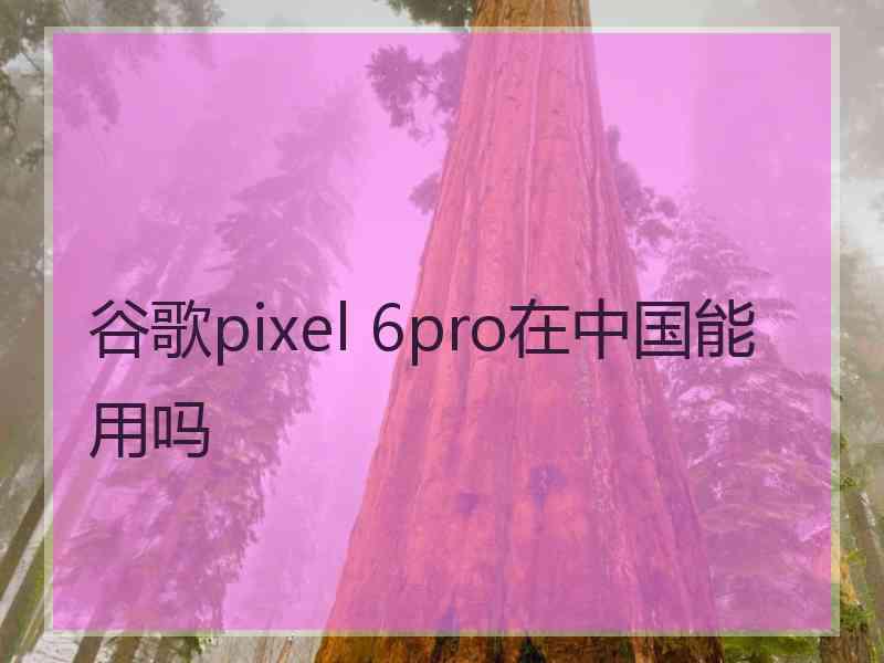谷歌pixel 6pro在中国能用吗