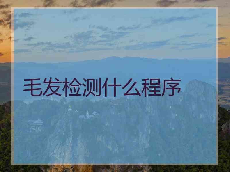 毛发检测什么程序
