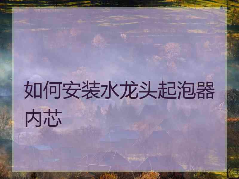 如何安装水龙头起泡器内芯