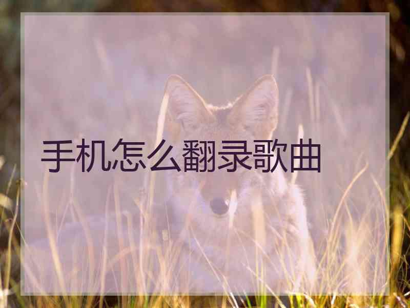 手机怎么翻录歌曲