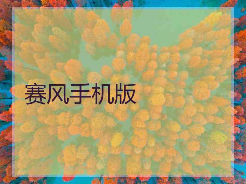 赛风手机版