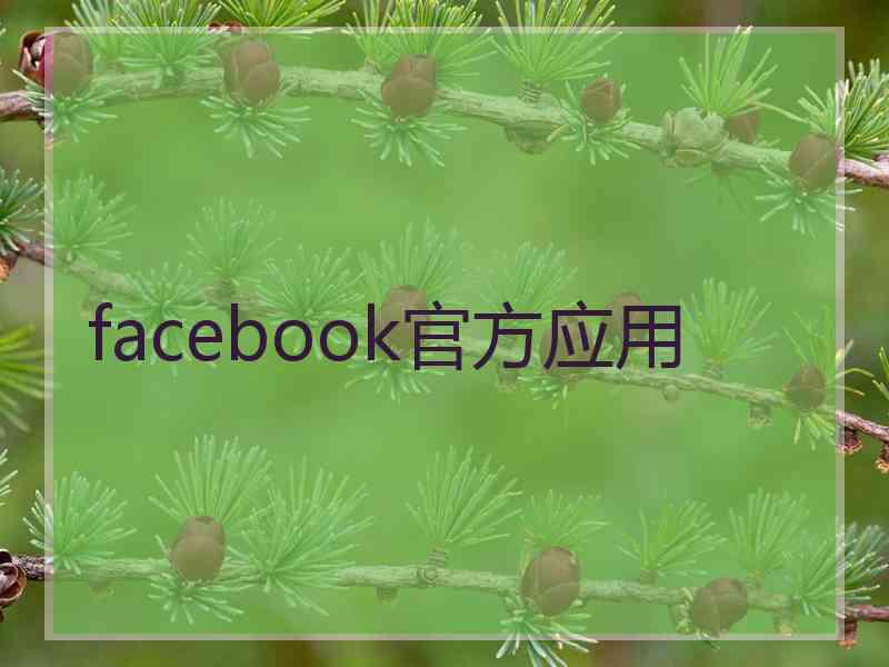 facebook官方应用