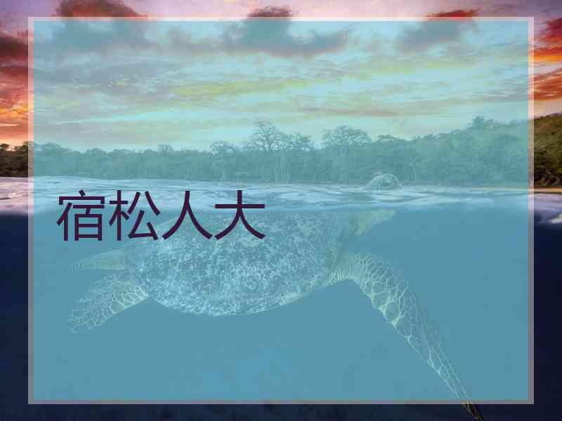 宿松人大