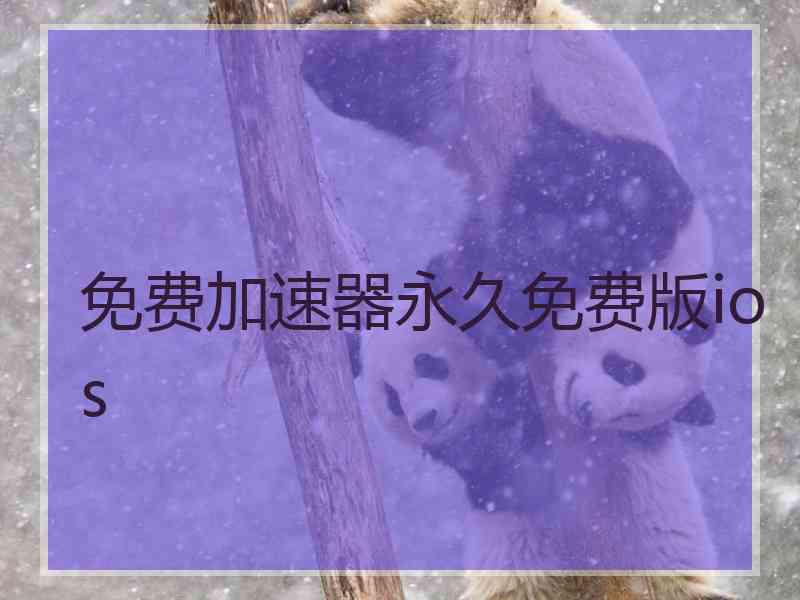 免费加速器永久免费版ios