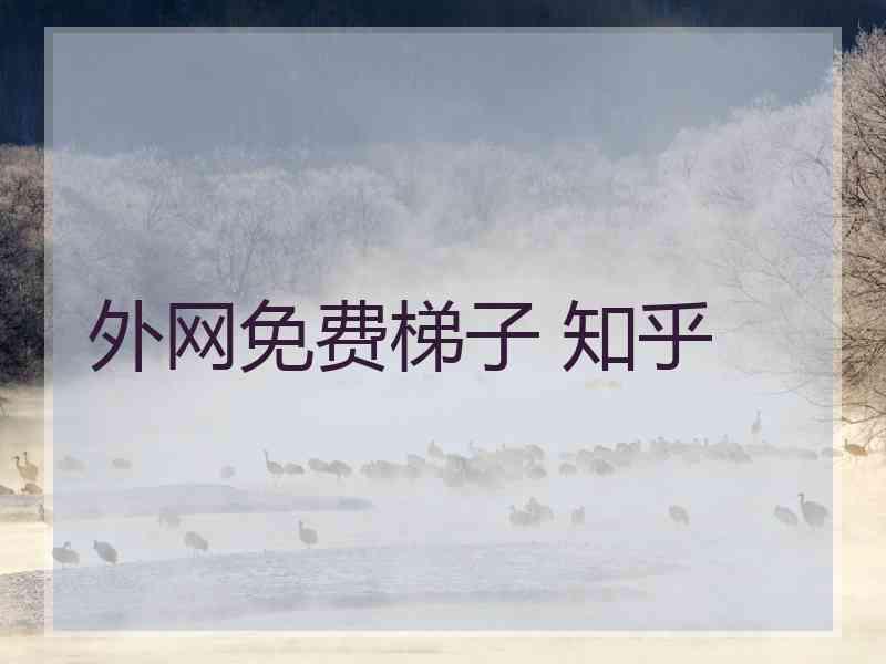 外网免费梯子 知乎