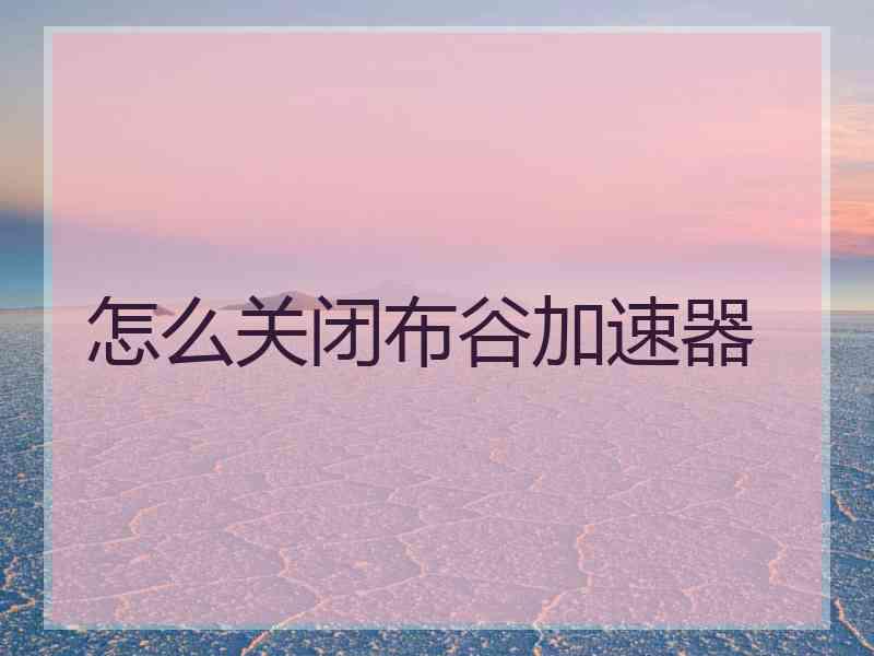 怎么关闭布谷加速器