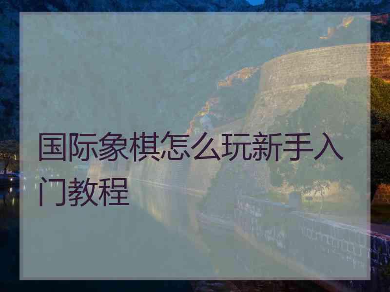 国际象棋怎么玩新手入门教程