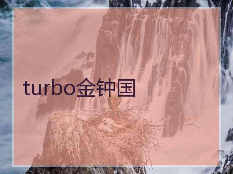 turbo金钟国