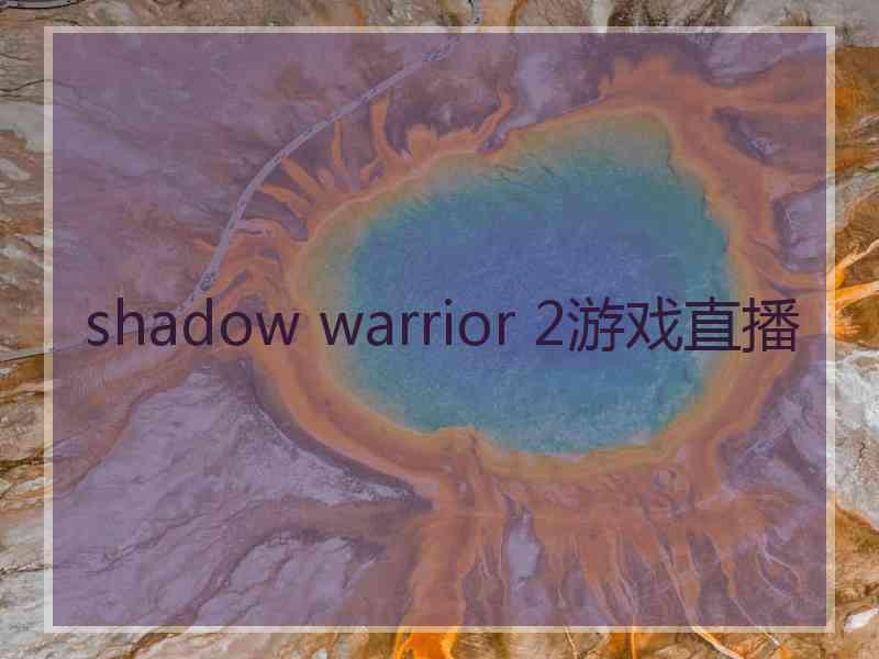 shadow warrior 2游戏直播