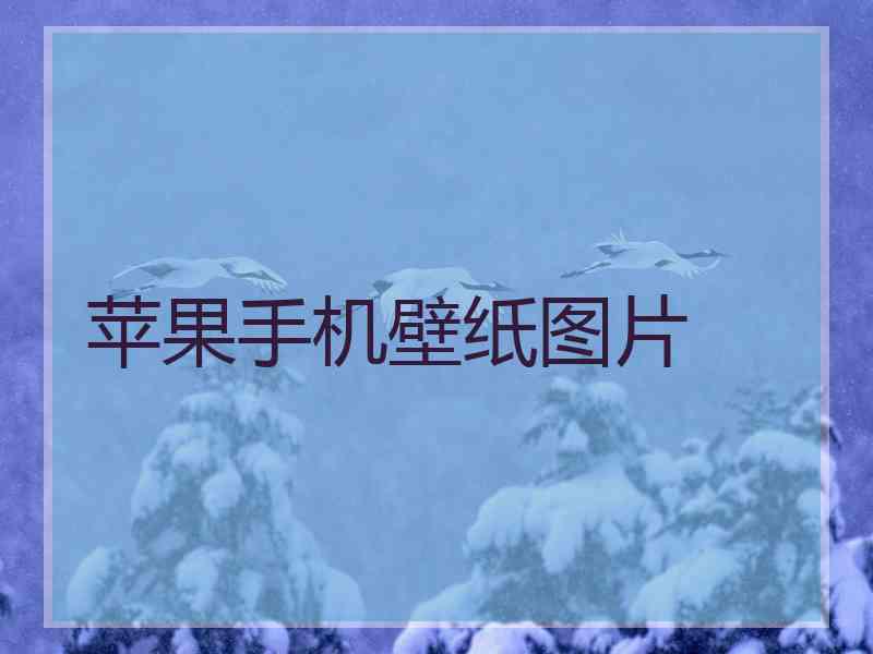 苹果手机壁纸图片