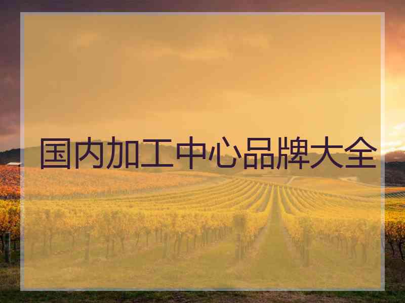 国内加工中心品牌大全