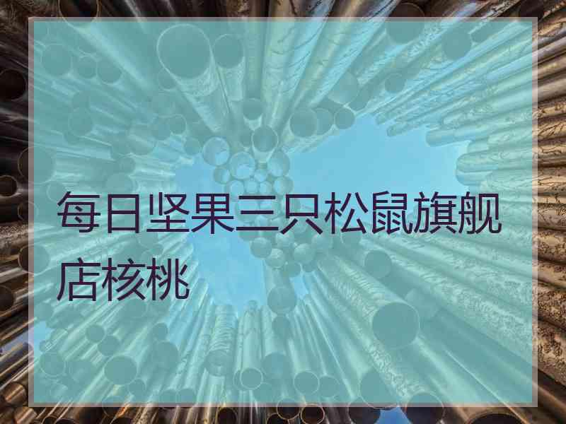 每日坚果三只松鼠旗舰店核桃