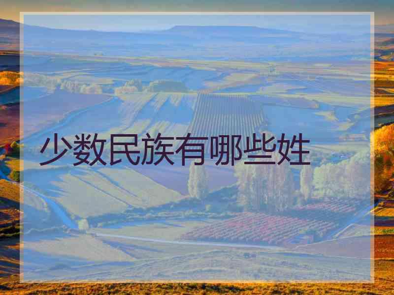 少数民族有哪些姓