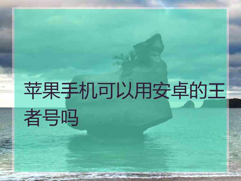 苹果手机可以用安卓的王者号吗