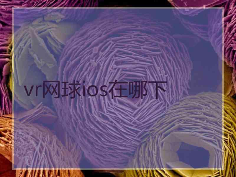 vr网球ios在哪下
