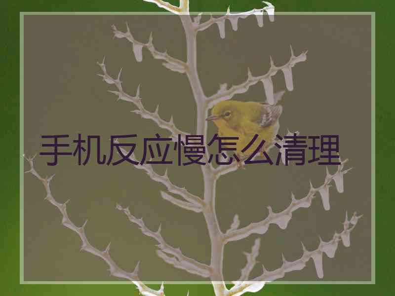 手机反应慢怎么清理