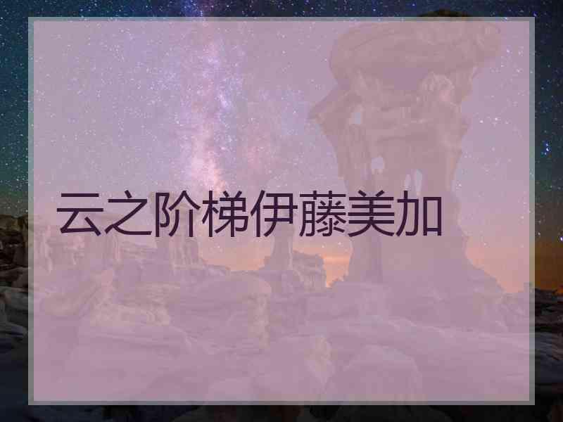 云之阶梯伊藤美加
