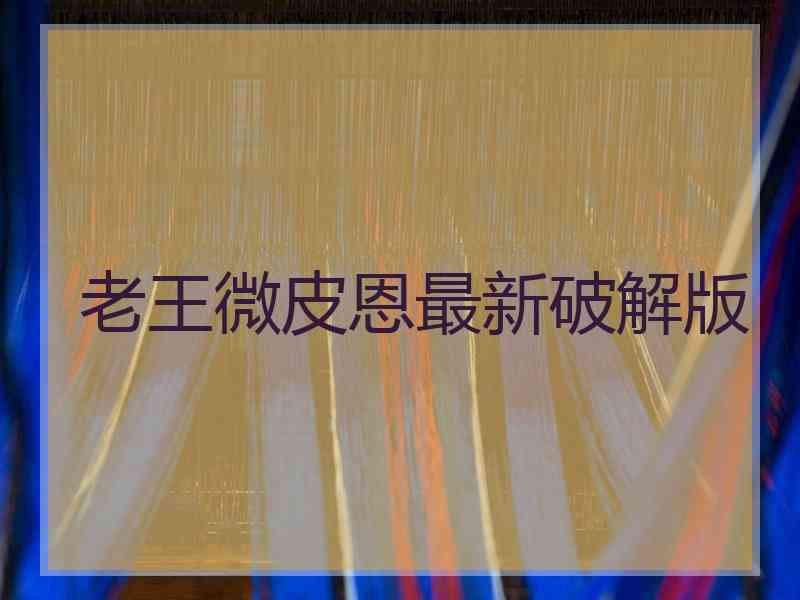 老王微皮恩最新破解版