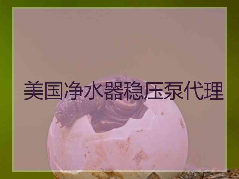 美国净水器稳压泵代理