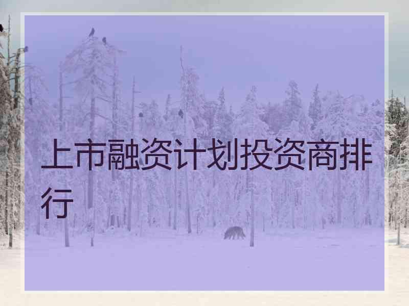 上市融资计划投资商排行